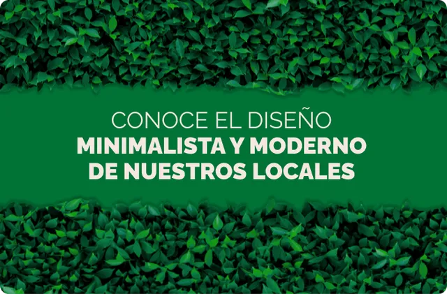 Galería 1